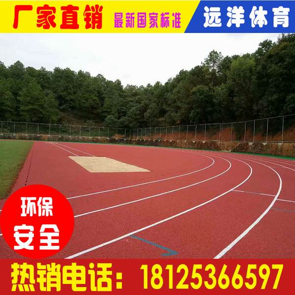 广东阳江环保塑胶跑道造价|13mm透气型塑胶跑道施工方案|远洋塑胶跑道包工包料