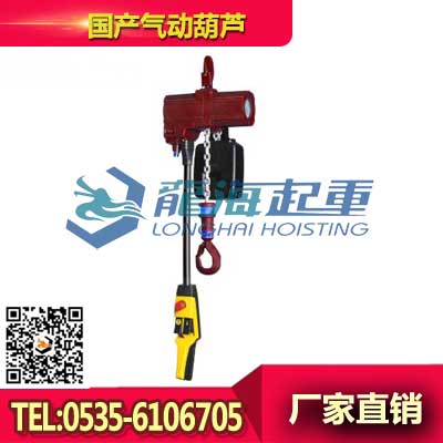 2000kg诺力顿NOLD气动葫芦 可定制链条长度