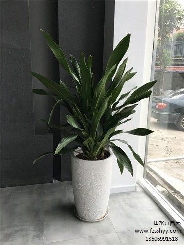 福州园林景观设计施工的问题你知道吗？