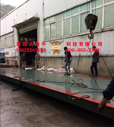 优质的称重软件_重庆市专业的铲车秤厂家家耐用