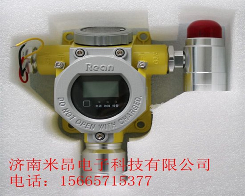 RBT-6000-ZLGM型气体探测器-工业型安全仪器