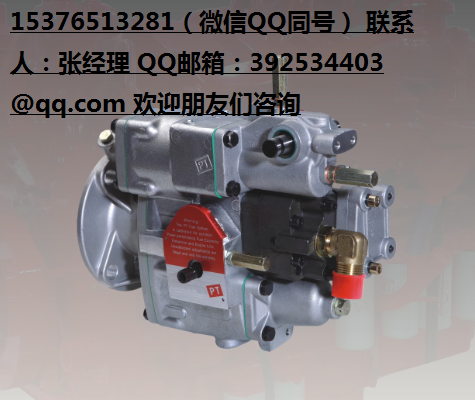 厂家直销康明斯PT燃油泵316康明斯PT燃油泵3165385K1083-WB230拌合机柴油泵5385K1083-WB230拌合机柴油泵