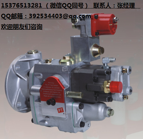 全新康明斯PT燃油泵3165400K3006-500KW（常闭）柴油泵