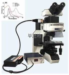 北京毕思特BEST-UV600型显微镜分光光度计系统