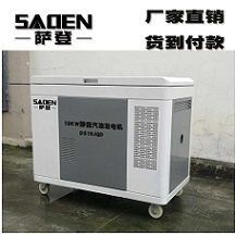 德国品牌10千瓦静音燃气萨登发电机