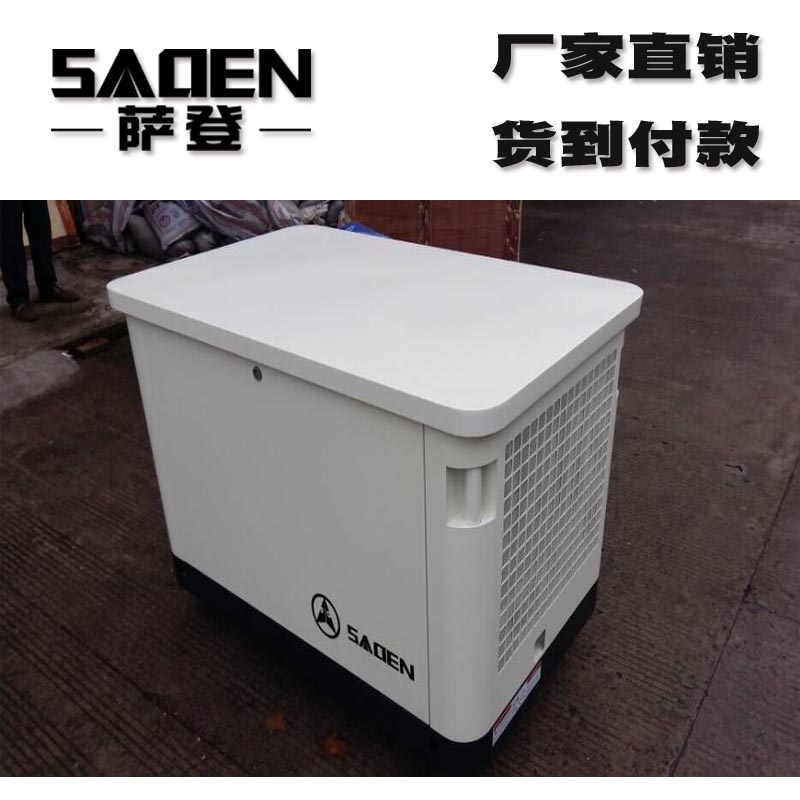 进口品牌10千瓦静音燃气萨登发电机