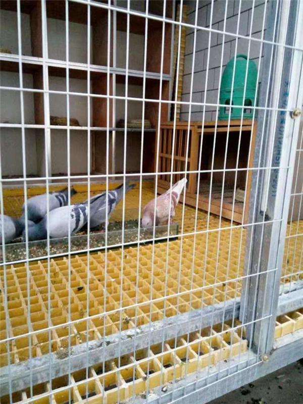 玻璃钢格栅工程 单层格栅设计方案