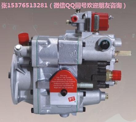 供应康明斯PT燃油泵4061226K3031-G2-600KW柴油泵
