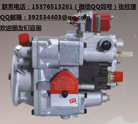 康明斯PT燃油泵4951465SD7推土机柴油泵NT855-C280