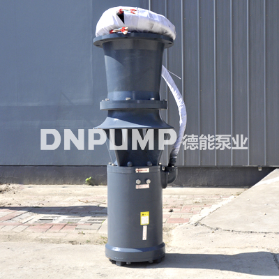 中吸潜水轴流泵型号