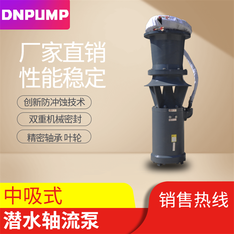 简易式轴流泵安装
