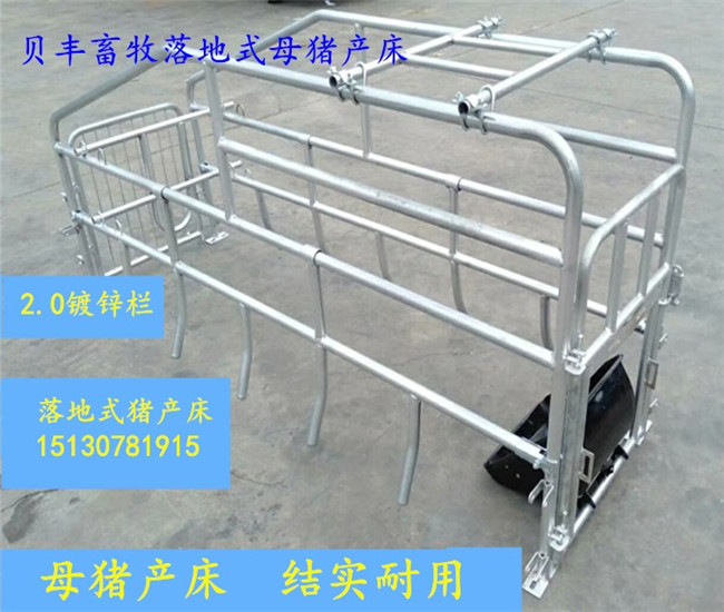 河北厂家批发养猪设备猪栏【母猪定位栏】常规尺寸2.2*6.5定位栏