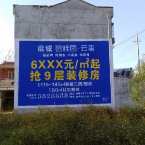 湖北省专业墙体广告制作