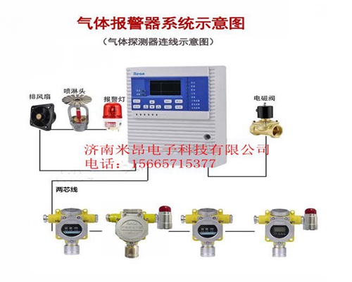 2019年液氨气体报警器 实现现场显示液氨气体浓度值