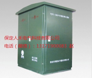 保定人禾PJZY1-12型带“看门狗”功能的户外高压预付型计量柜