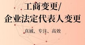  理记账,纳税申报,办理电子口岸