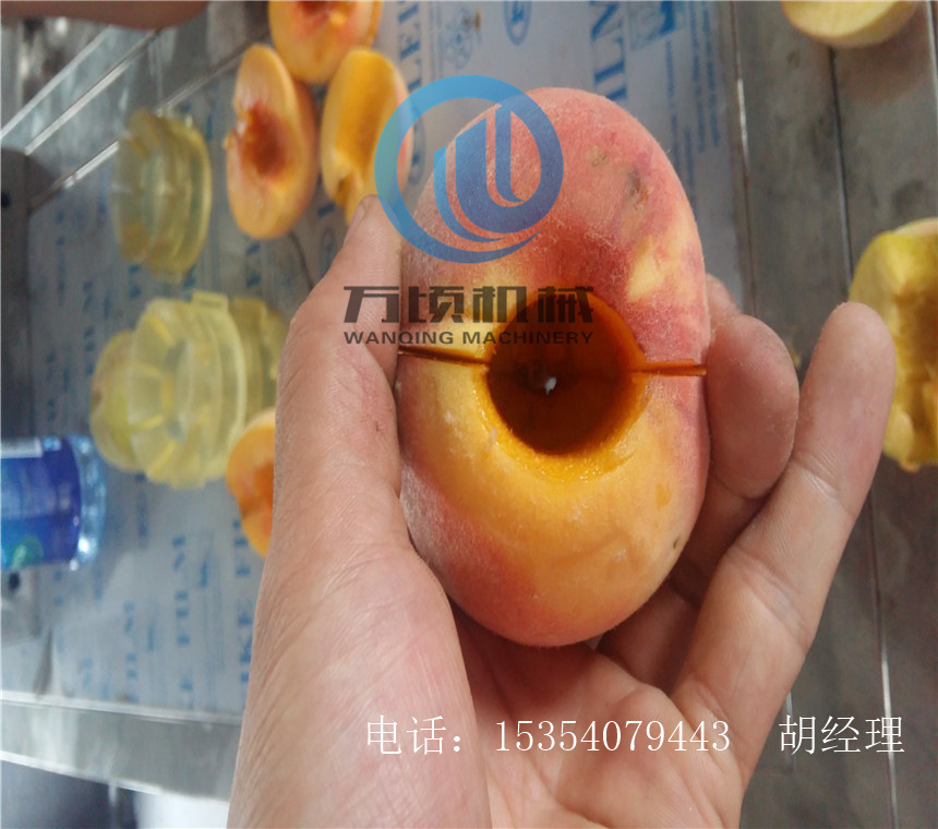 黄桃去核机 桃去核机效果图