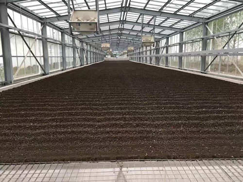 煜林枫污泥干化处理系统使其稳定减容及无害化
