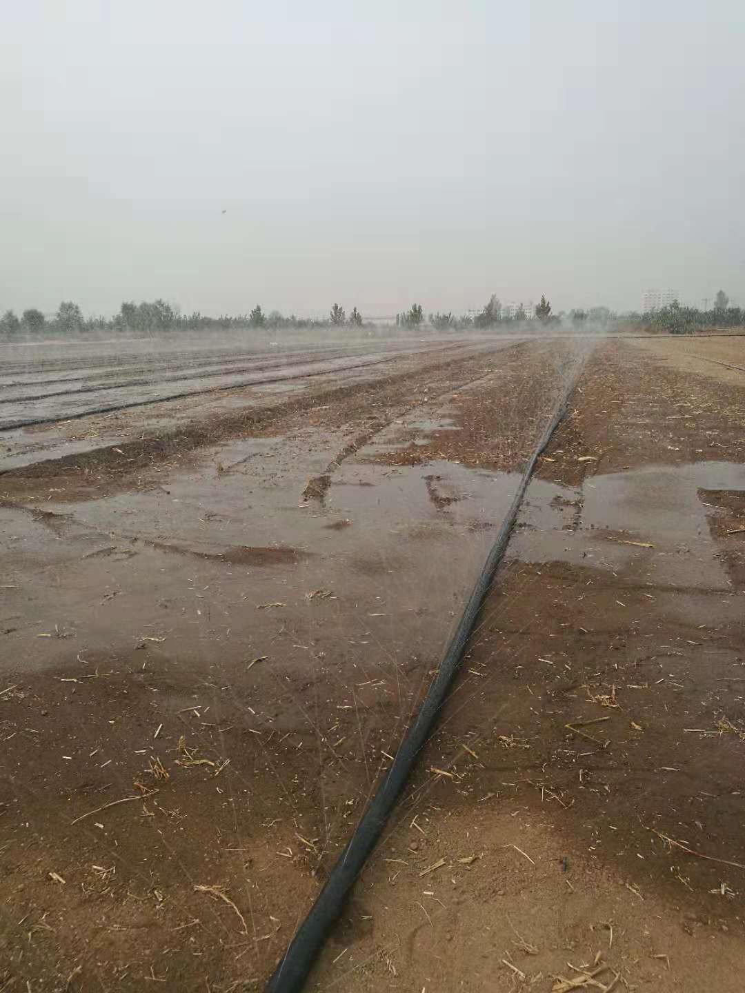 河南滑县低压微喷灌用微喷带 型号齐全