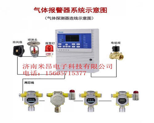 氟利昂气体报警器 可用于工厂的危险场所