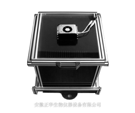 ZH 自发活动分析系统 自发活动视频分析系统 小动物活动记录仪 供应商