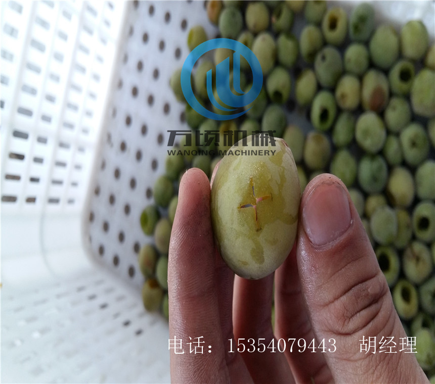 万顷杏去核机 黄金品质