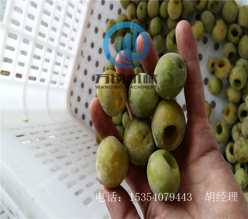 小型杏梅去核机 万顷生产