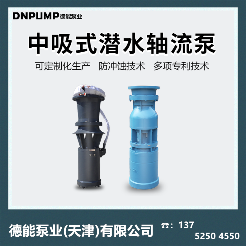 中吸轴流泵参数及厂家