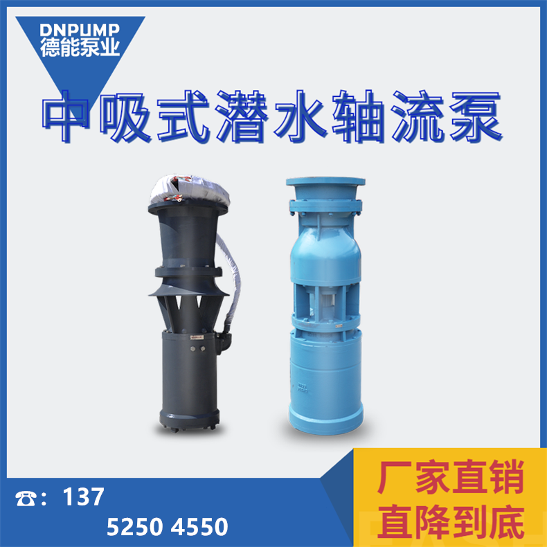 中吸轴流泵图片及厂家