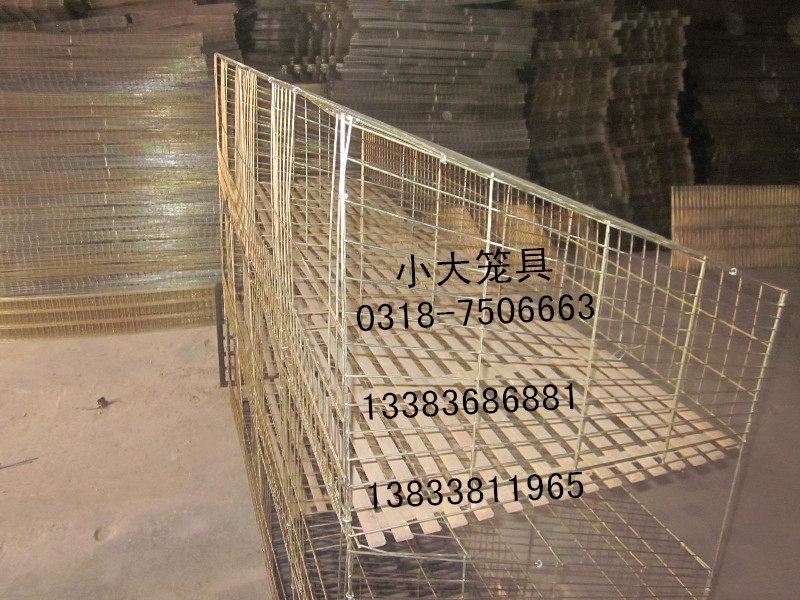 出售鸡笼子 鹌鹑笼 鸽子笼 兔子笼 运输笼 鹧鸪笼 鸡鸽兔笼 12位鸽笼 9位兔笼 12位兔笼