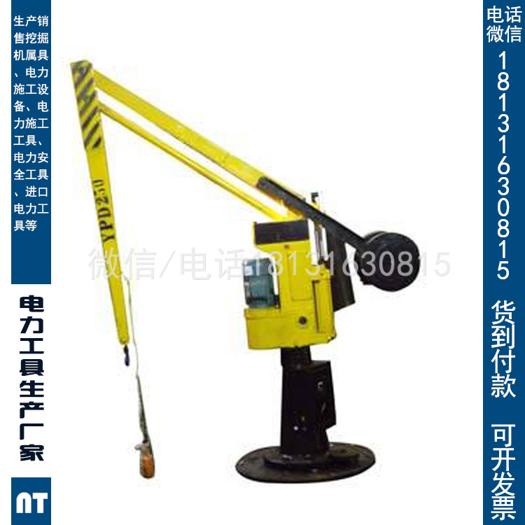 微型电动葫芦220V家用装修小吊机提升机可加遥控器