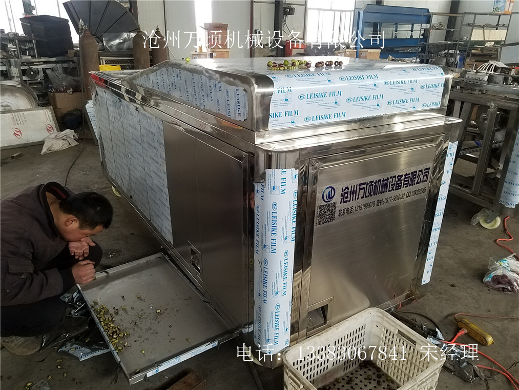 红枣去核机 专业手法去核
