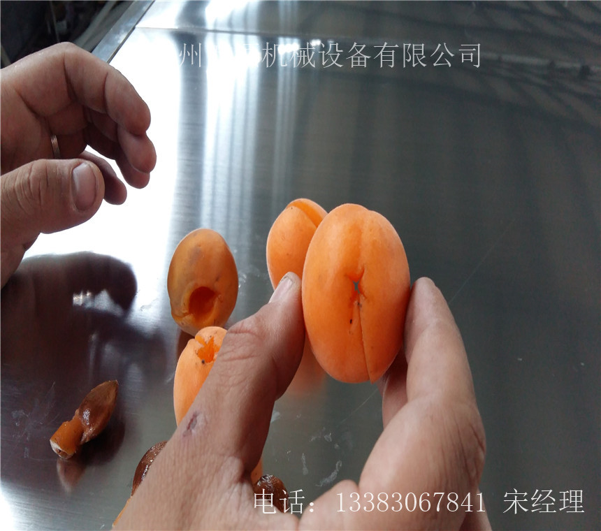 陕西黄杏去核机 去核切片机