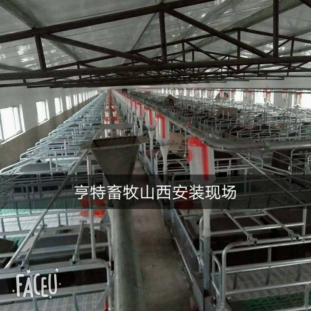 养猪设备母猪产床定位栏漏粪板厂家全国发货