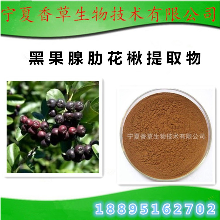 黑果腺肋花楸提取物 花青素10% 黑果腺肋花楸果粉 冻干粉 速溶粉