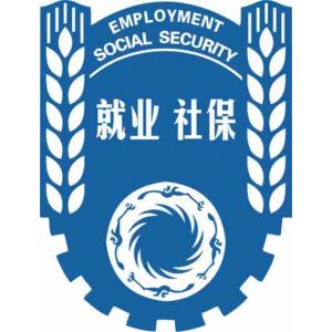 佛山社保服务，社保查询及政策咨询，代缴佛山社保