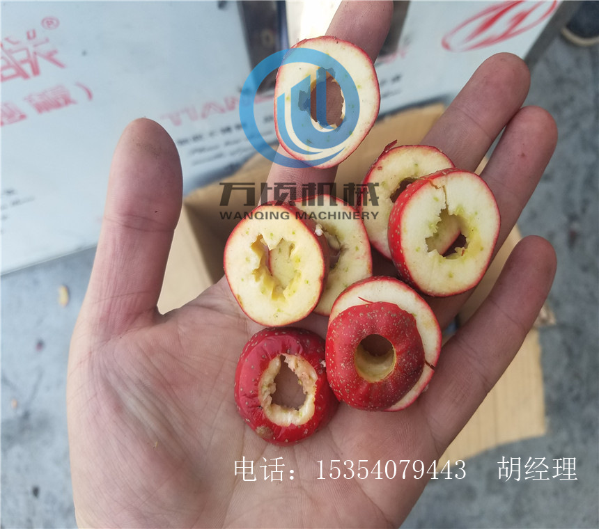 山楂去核切片机现货供应