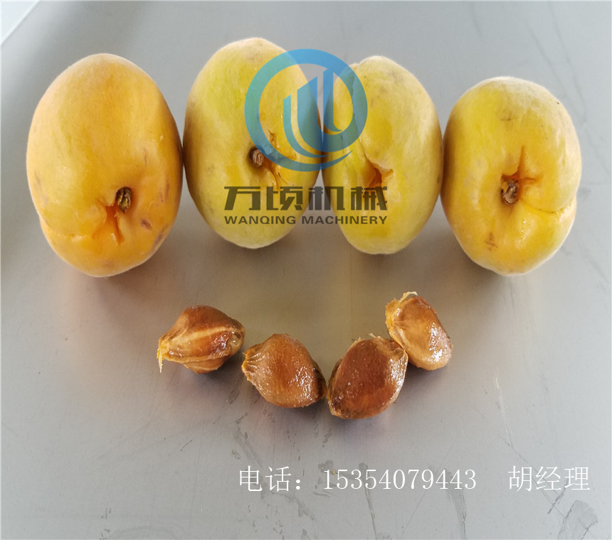 杏子去核后的效果图片