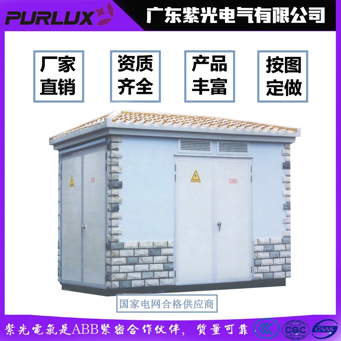 广东湛江箱式变电站 欧式箱变哪家质量好-紫光电气