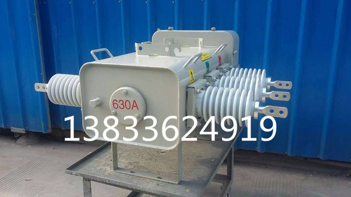 一二次融合成套柱上断路器,AC10kV,630A,20kA,户外