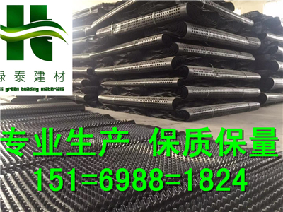 福建厦门2公分车库排水板绿泰供应15169881824