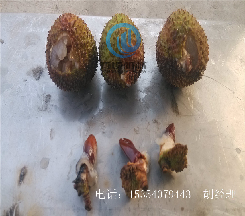 荔枝去核方法 荔枝去核机