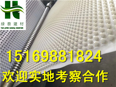 青岛20高蓄排水板金华2公分车库排水板15169881824