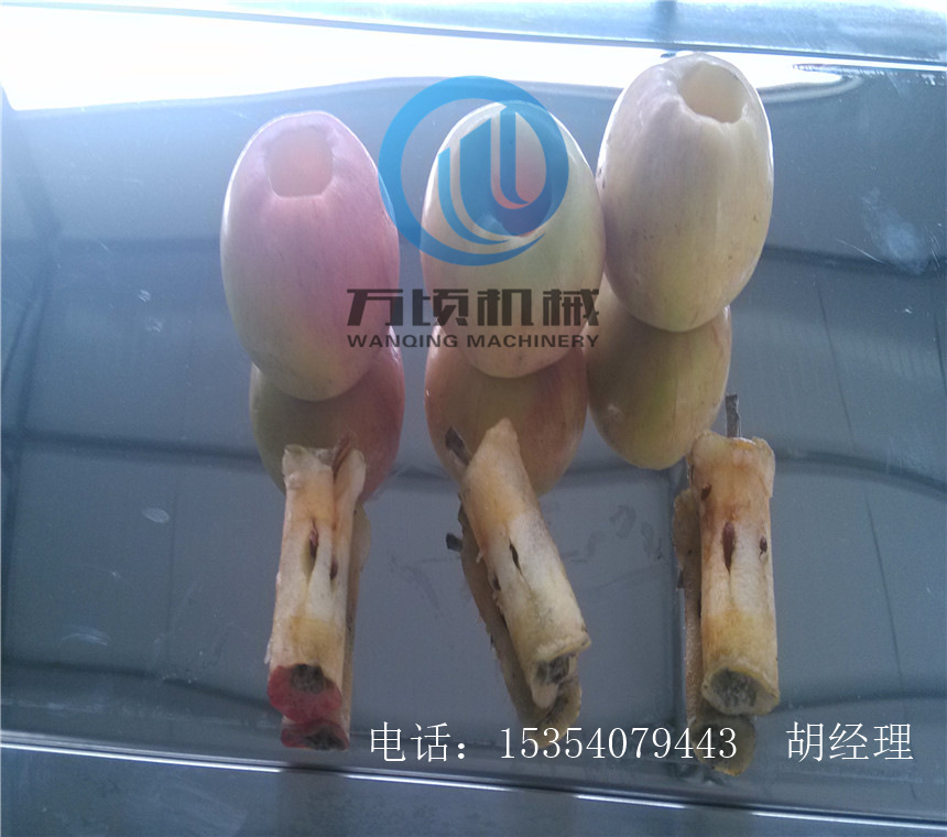 沙果去核加工流程 沙果去核机