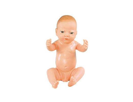  满月婴儿模型(男婴女婴任选)