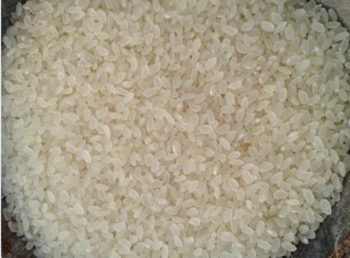 求购大米碎米