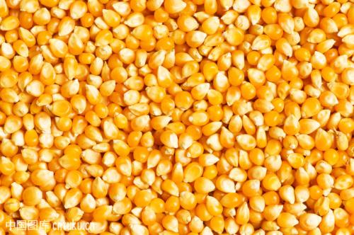 汉江求购；玉米，荞麦，高粱，大豆，碎米等农副产品