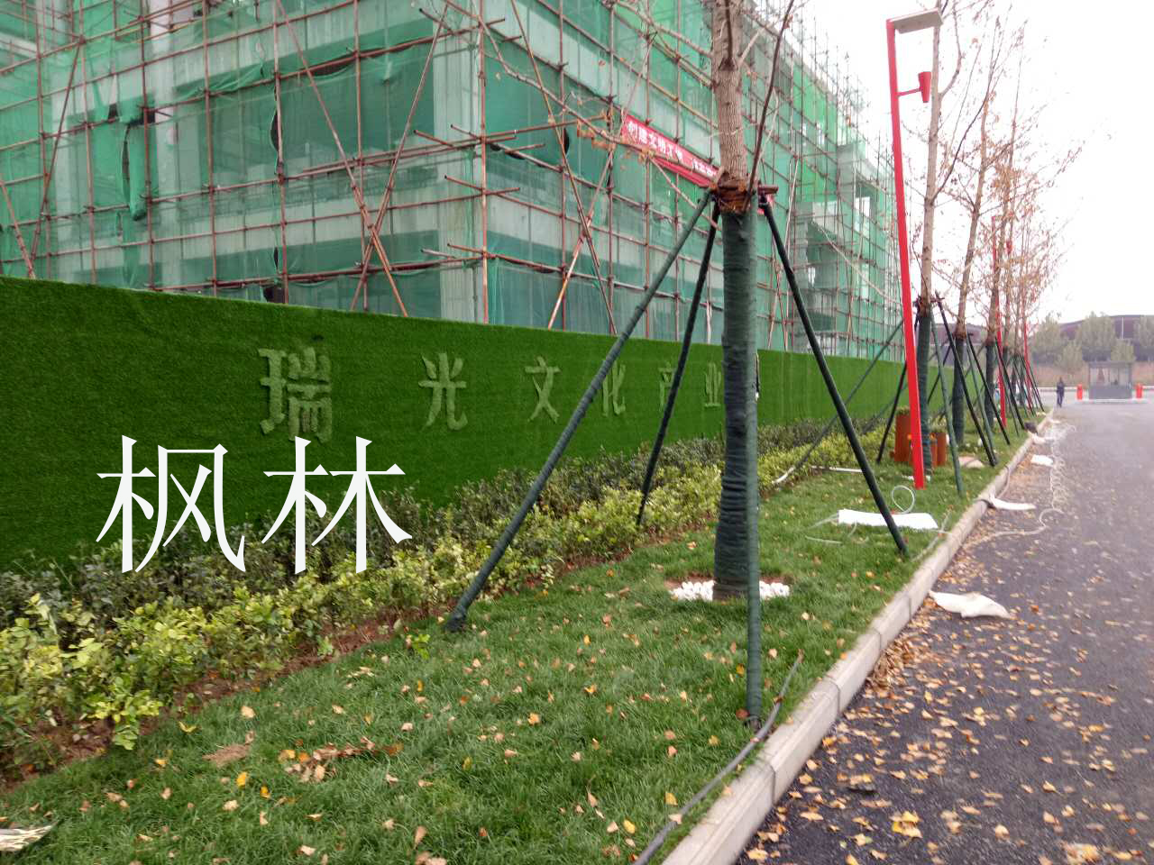 河北仿真草坪厂家直销
