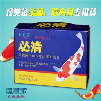 济南历下区燕山立交锦鲤烂身
