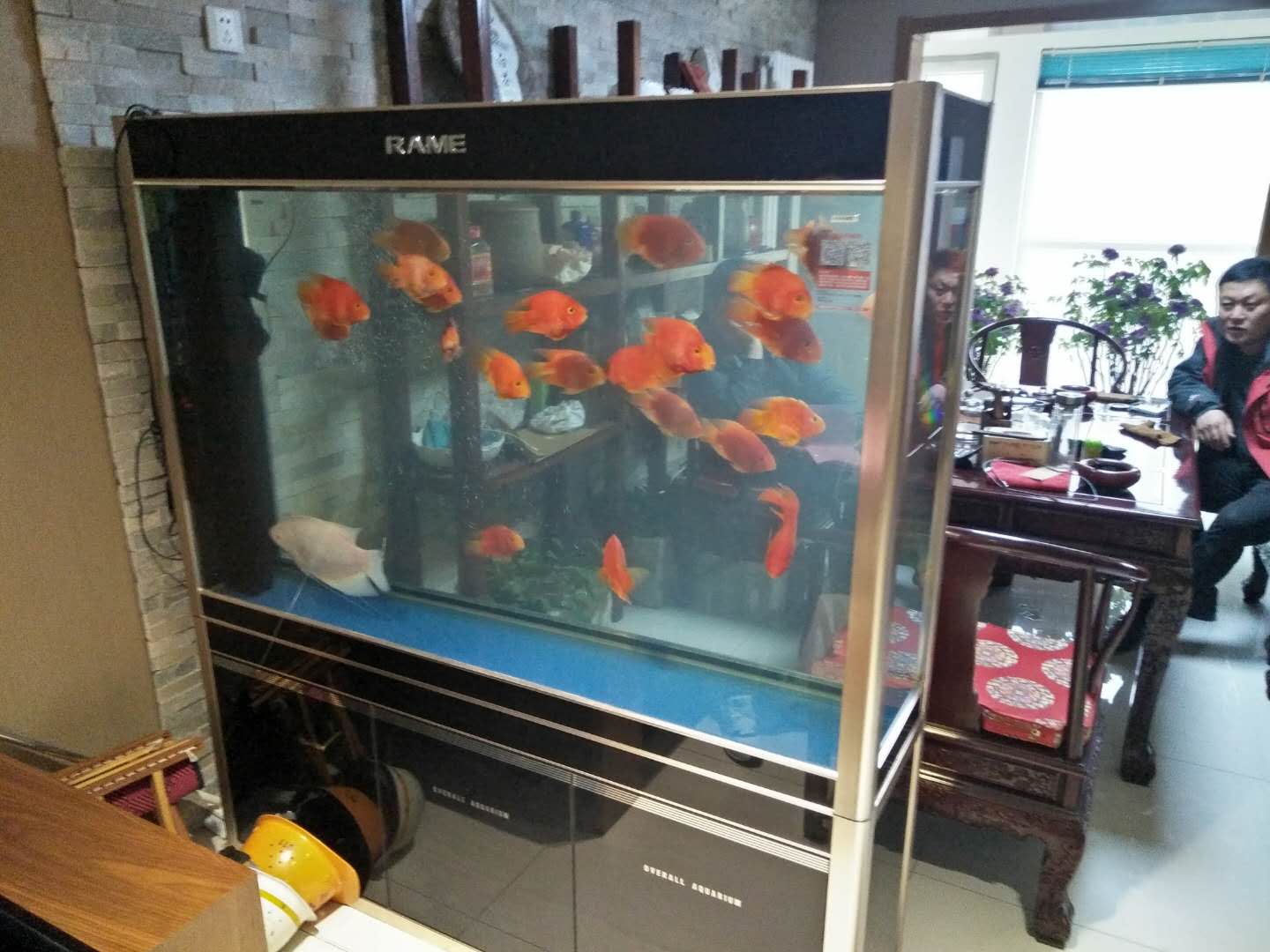 济南历下区泉城路鱼缸年托管